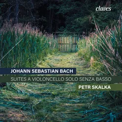 Passacaglia for solo cello in C Minor "The Guardian Angel", after the original for violin from the Rosary Sonatas, arr. by Petr Skalka