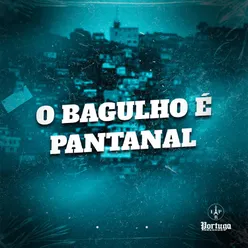 O BAGULHO E PANTANAL