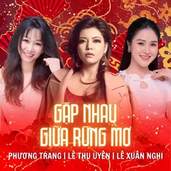 Gặp Nhau Giữa Rừng Mơ