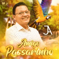 Amigo Passarinho