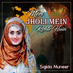 Meri Jholi Mein Rehte Hain - Single