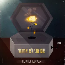 אם אני לא אחזור