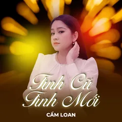 Tình Cũ Tình Mới