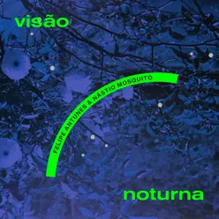 Visão Noturna