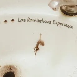 Los Românticos Experience