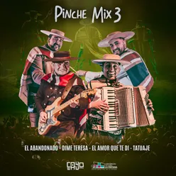 Pinche Mix 3