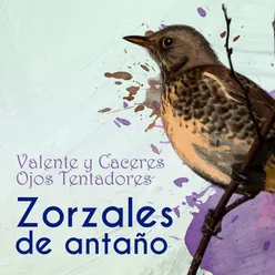 Zorzales de Antaño… Ojos Tentadores