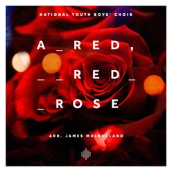A Red, Red Rose (Arr. for choir by James Mulholland)
