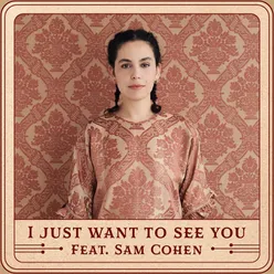 I Just Want to See You (feat. Sam Cohen)