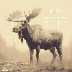 Alce, Indio