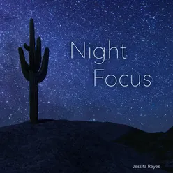 Night Focus (Nf-404)