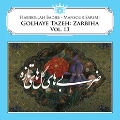 Golhaye Tazeh: Zarbiha, Vol. 13