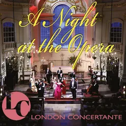 A Night at the Opera