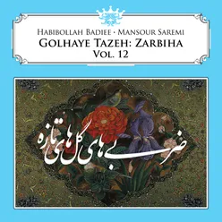 Golhaye Tazeh: Zarbiha, Vol. 12
