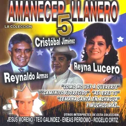 Amanecer Llanero, Vol. 5
