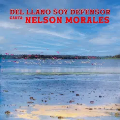 Del Llano Soy Defensor