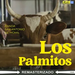 Los Palmitos