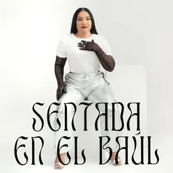 Sentada En El Baúl