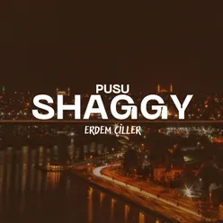 Pusu Shaggy