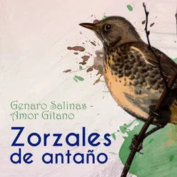 Zorzales de Antaño… Amor Gitano