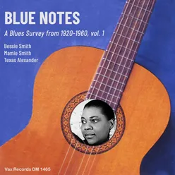 Blue Notes – A Blues Survey from 1920-1960, vol. 1