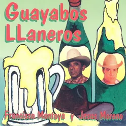 Guayabito Campesino
