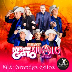 MIX: GRANDES EXITOS