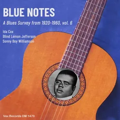 Blue Notes – A Blues Survey from 1920-1960, vol. 6