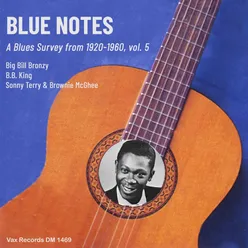 Blue Notes – A Blues Survey from 1920-1960, vol. 5