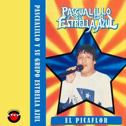 El picaflor