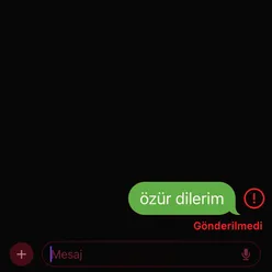 Özür Dilerim