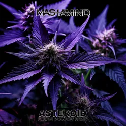 Asteroid (Purple Cannabis Remix)