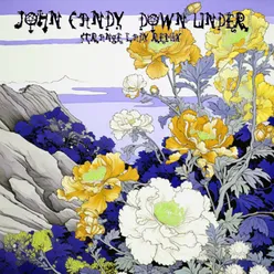 Down Under (Strange Lady Remix)