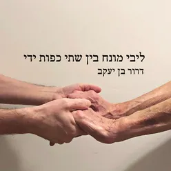 ליבי מונח