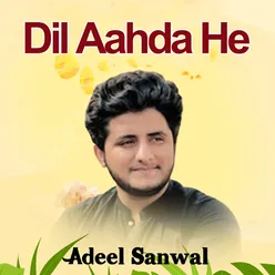 Dil Aahda He