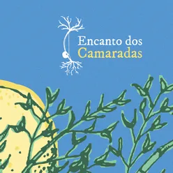 Encanto Dos Camaradas