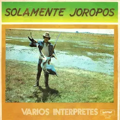 Solamente Joropos