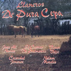 Los Cuatro Vientos Del Llano