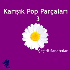 Karışık Pop Parçalar 3