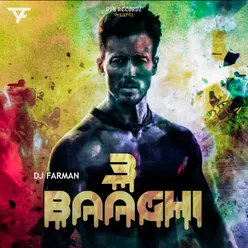 Baaghi 3