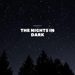 The Nights In Dark