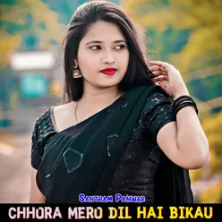 Chhora Mero Dil Hai Bikau