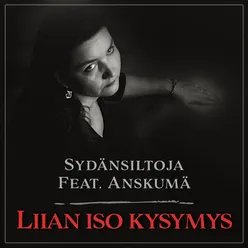 Liian iso kysymys