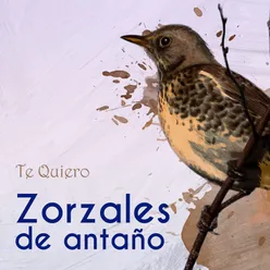 Canciones Del Corazón