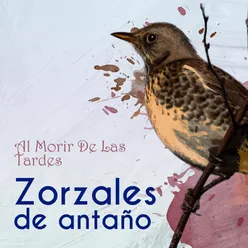 Zorzales de Antaño…Al Morir De Las Tardes