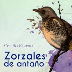 Zorzales de Antaño… Cariño Eterno