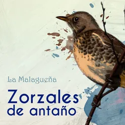 Zorzales de Antaño… La Malagueña