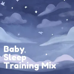 Baby Sleep Bliss