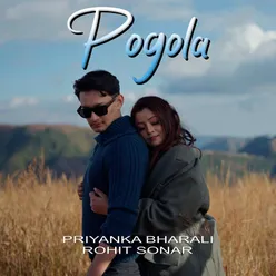 Pogola