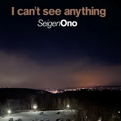 I can't see anything